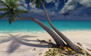 beach, ocean, sun, sand, sea, paradise, tropics, nature, waves, resort, vacation