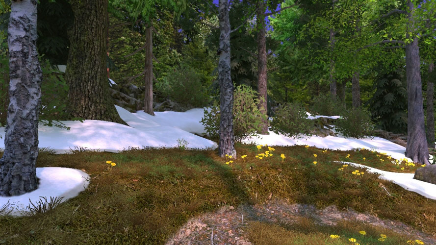 nature, forest, spring, creek, streams, snowmelt, awakening, birdsong, snowdrops