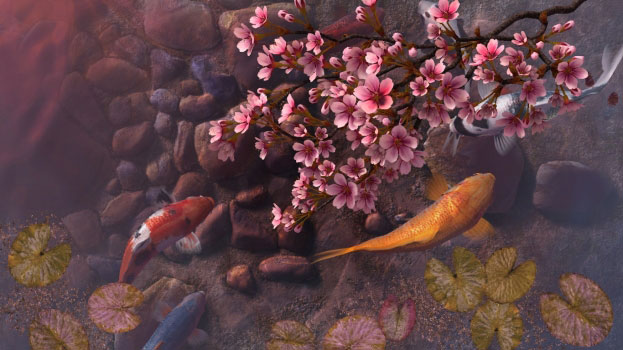 Koi Pond - Sakura Screenshot