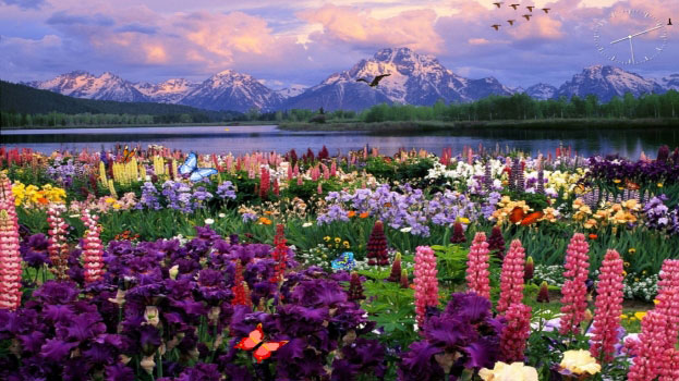 Butterflies Ponds Скриншот