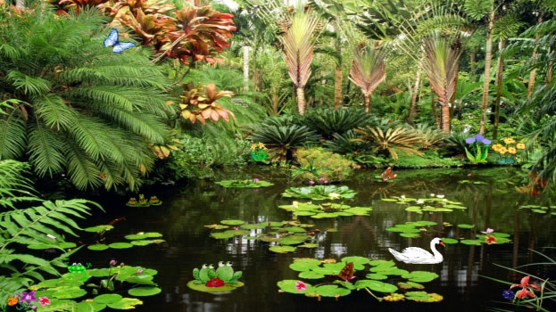 Butterflies Ponds Скриншот