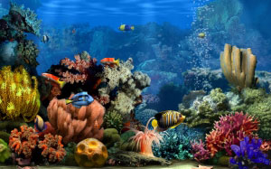 рыба, море, морской, аквариум, вода