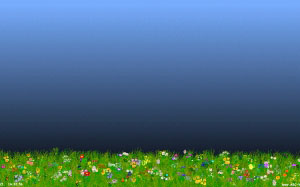 grows, field, grass, flowers, nature