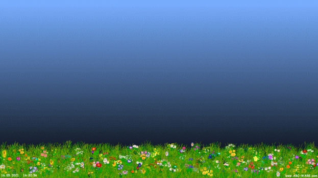 Flower Power Screenshot