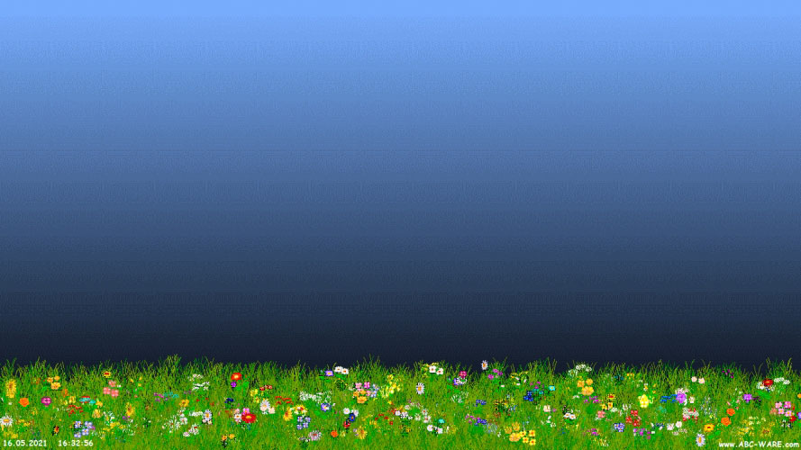 grows, field, grass, flowers, nature