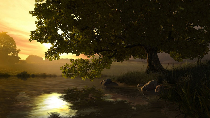 summer, nature, tree, forest, lake, grass, sun, sunset