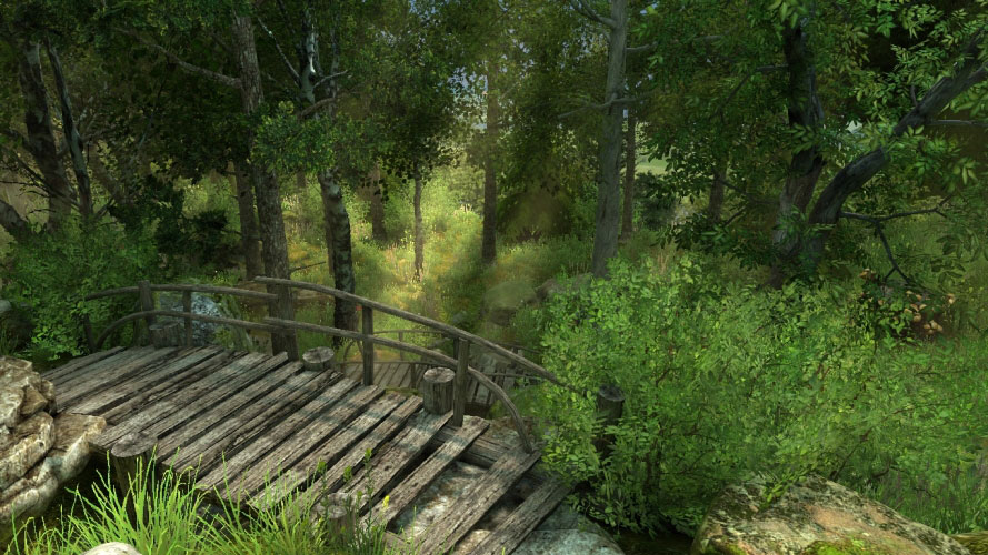 path, forest, trees, brook, nature, summer
