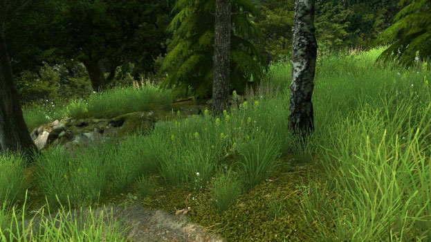 Forest Walk Screenshot