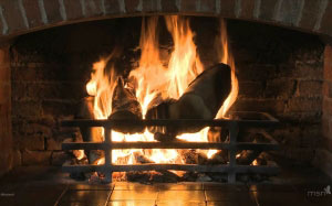 fireplace, fire, burning, logs, video, real