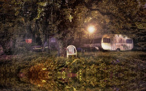 forest, trees, shed, branches, wood
