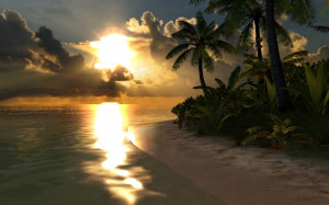 caribbean, beach, lagoon, sand, water, palms, sun, tropical, nature, landscape
