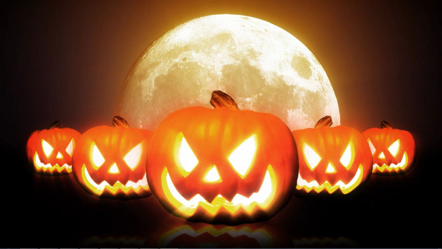 halloween, pumpkins, scary, bats, moon, holiday