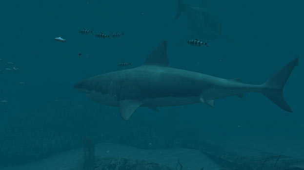 Sharks - Great White Screenshot