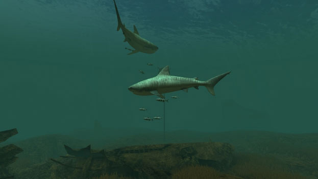 Tiger Sharks Screenshot