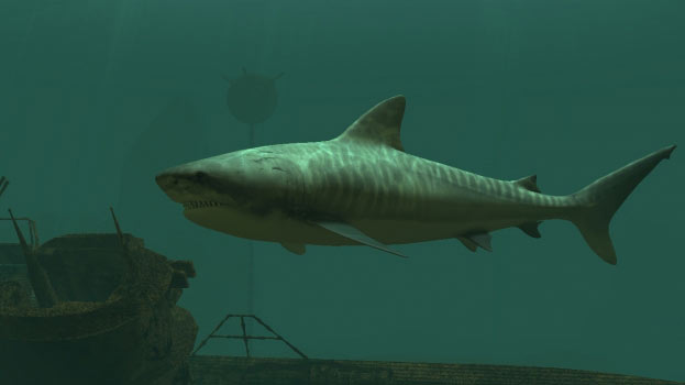 Tiger Sharks Screenshot
