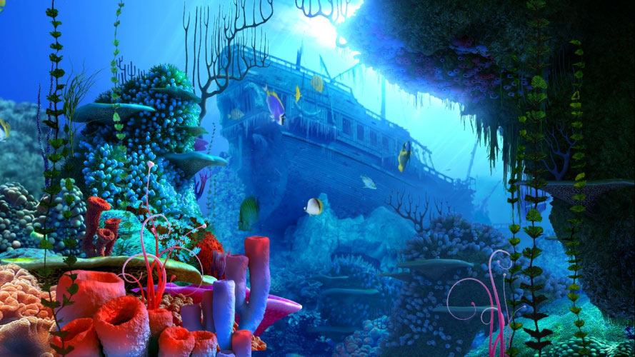 sea, ocean, sunken ship, underwater, water, fish, coral reef