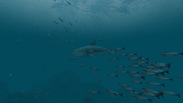 Sharks Screenshot
