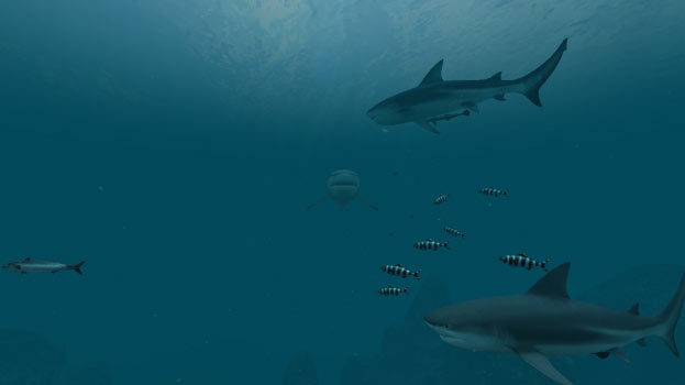 Sharks Screenshot