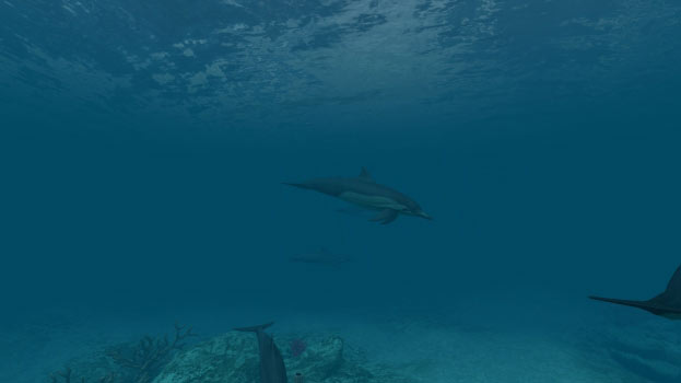 Dolphins Screenshot