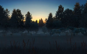 nature, horses, dawn, sun, rays, landscape, forest