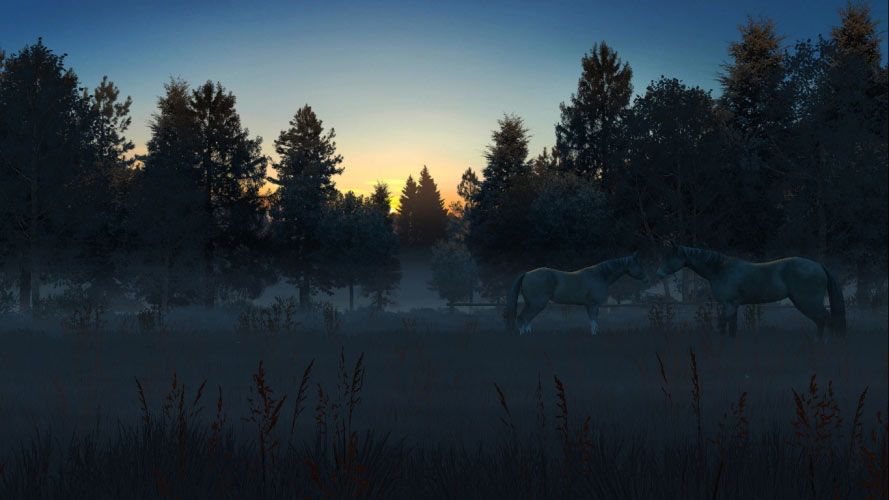 nature, horses, dawn, sun, rays, landscape, forest