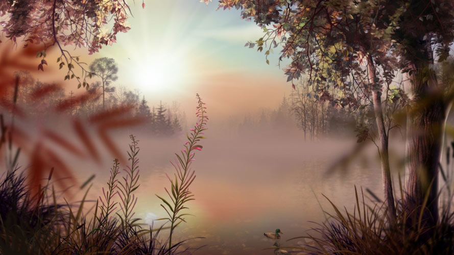 lake, rising, morning, nature, landscape, ducks, fog, mist, calm, boat