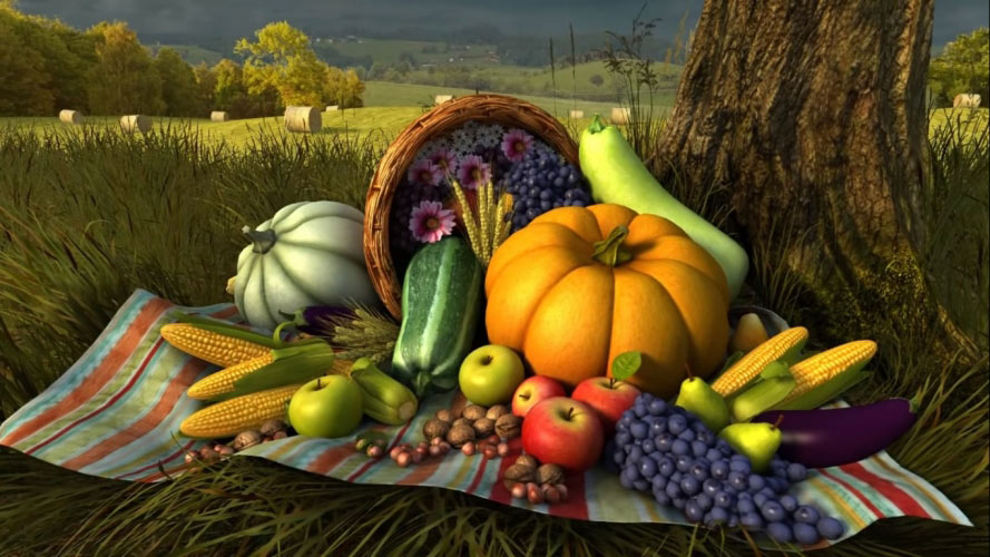 holiday, thanksgiving day, pumpkin, nature, autumn, fall