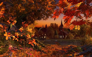 nature, autumn, fall, evening, country, wood, forest, sunset, creek, leaves