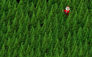 christmas, xmas, new year, christmas tree, santa claus, ave maria, deck the halls, winter wonderland