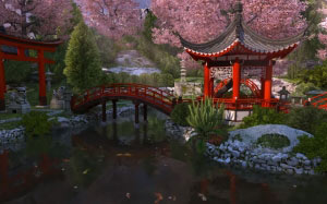 sakura, japan, garden, bloom, season, blossom, season, koi, fish, pond, tree
