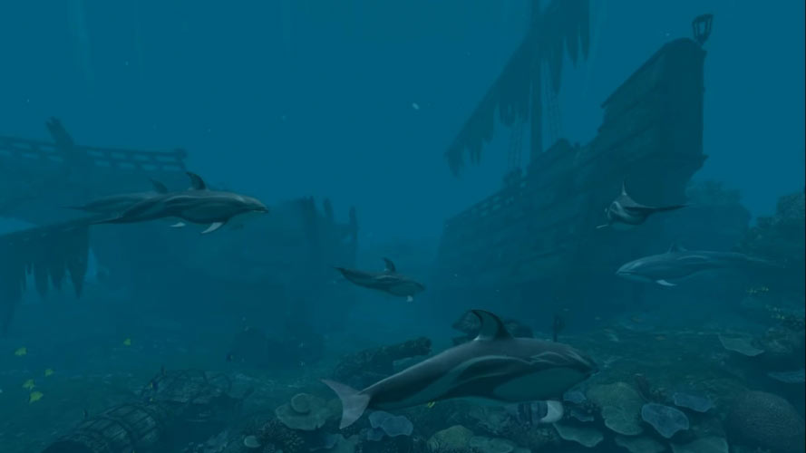 дельфины, пиратский риф, затонувший корабль, под водой, море, океан, глубина, рыба