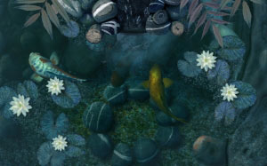 koi fish, fish, lilies, pond, water, calm, swim, nature