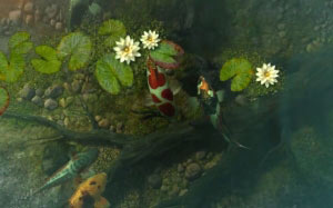 koi fish, fish, swim, pond, lotus, water, dragonfly, garden, nature