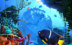 sea, ocean, coral, clock, underwater, fish