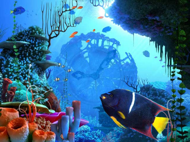 sea, ocean, coral, clock, underwater, fish