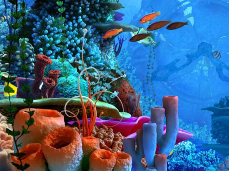 Coral Clock Screenshot