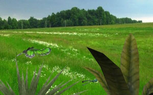 spring, nature, landscape, grass, plants, flowers, meadow