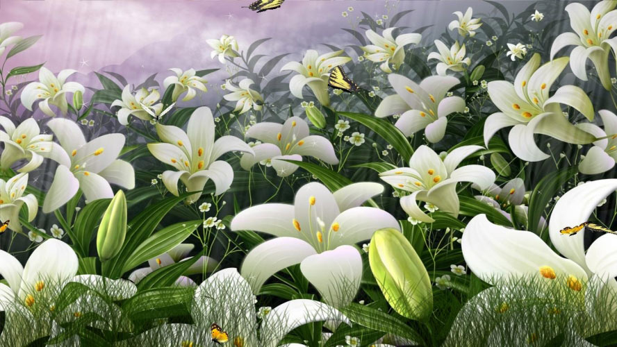 butterflies, butterfly, field, flowers, grass, nature, landsscape, animation, mountains