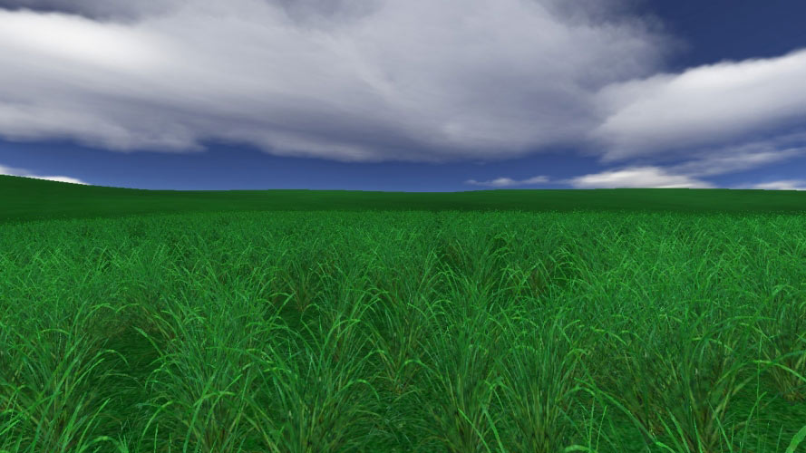 grass, sky, nature, landscape, grass, field, meadow