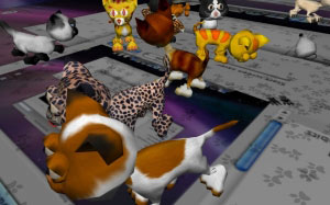 kitty, cats, desktop, pets, animals