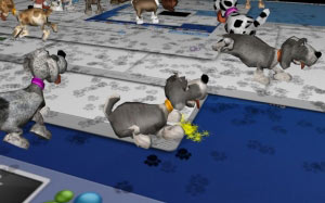 puppy, dogs, animals, pets, cute