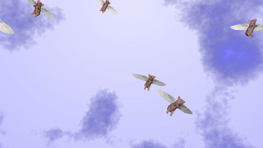 swine, funny, pigs, fly, flight, animals