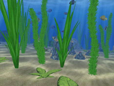 Water Life Screenshot