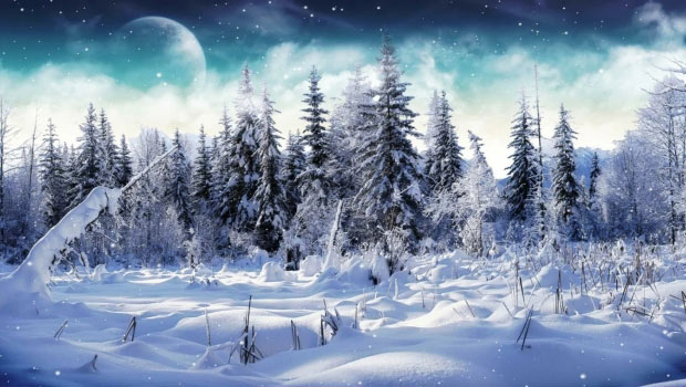 Cold Winter Скриншот