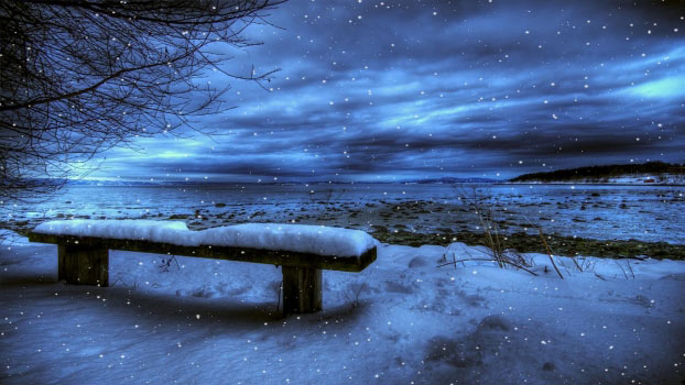 Cold Winter Скриншот