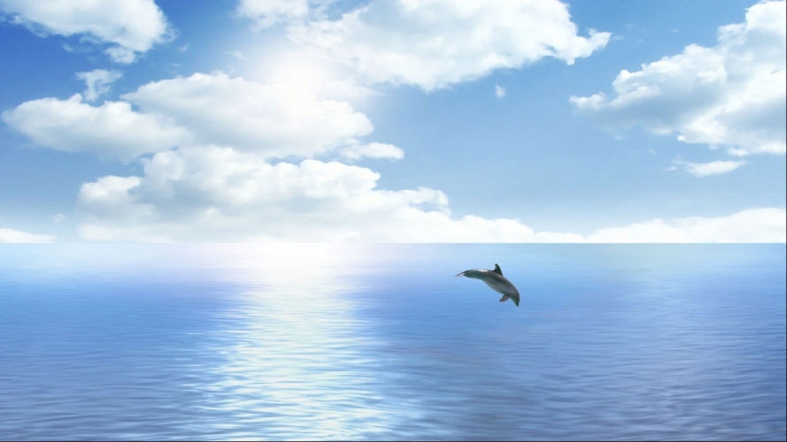 fish, dolphins, nature, landscape, sea, ocean, water