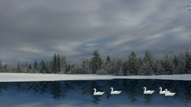 By Water Screenshot