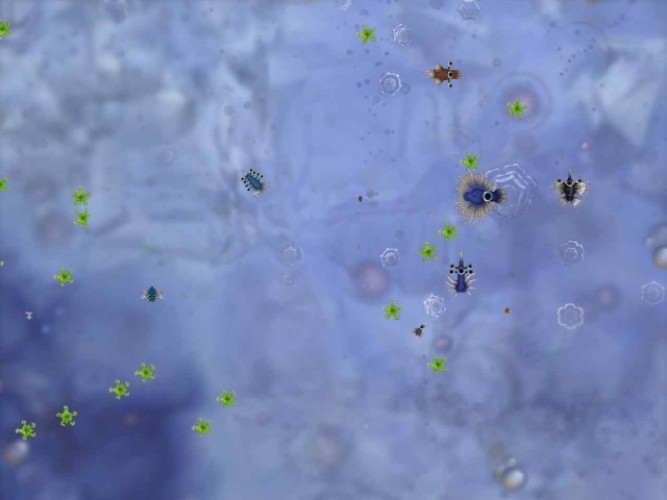 fish, aquarium, bacteria, cells