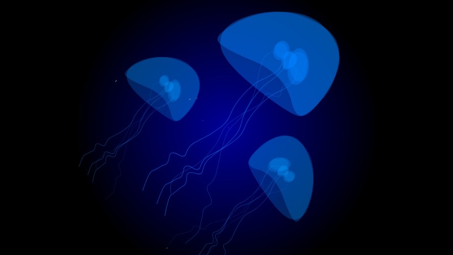 animated, animals, fish, underwater, blue, jellyfish, medusa