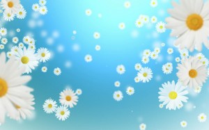 camomiles, flowers, cute, animated
